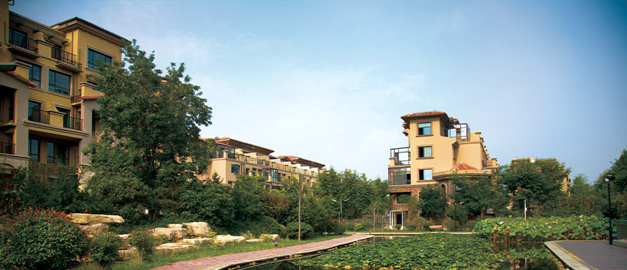 今年会 | 官方网站