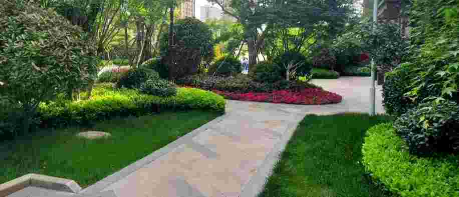 今年会 | 官方网站