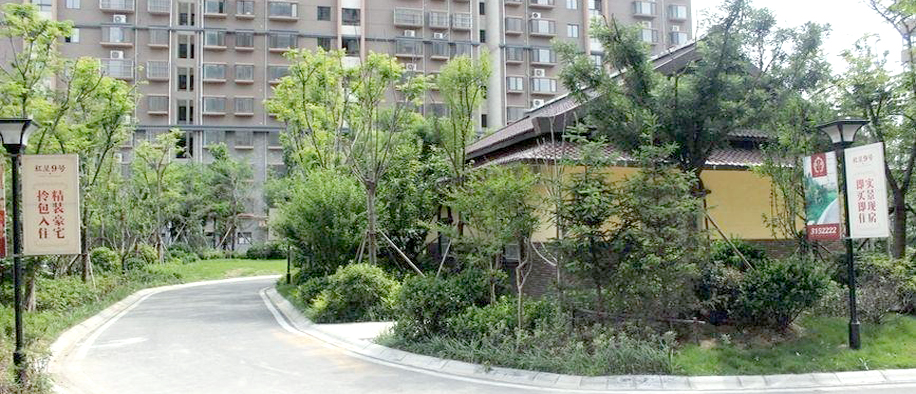 今年会 | 官方网站