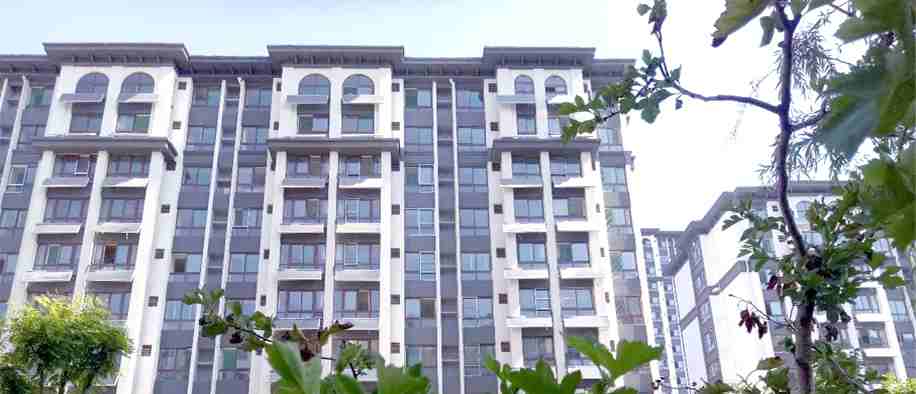 今年会 | 官方网站